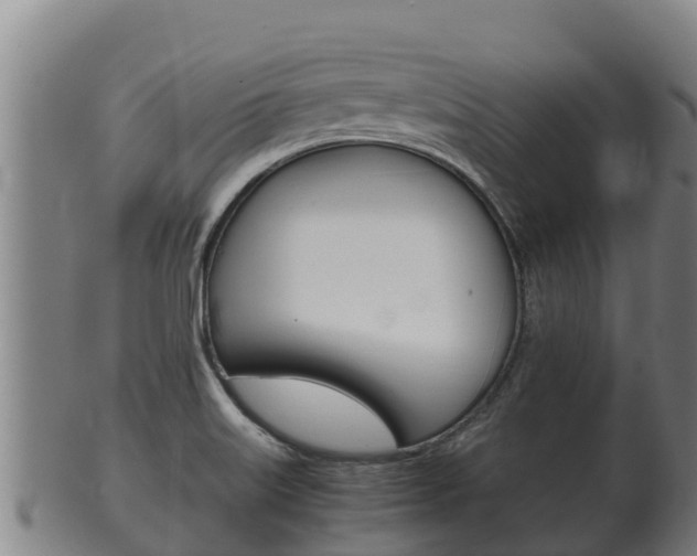 X0000100381515200806060814