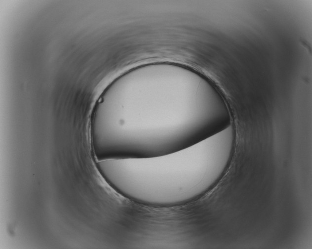 X0000100381516200806060814
