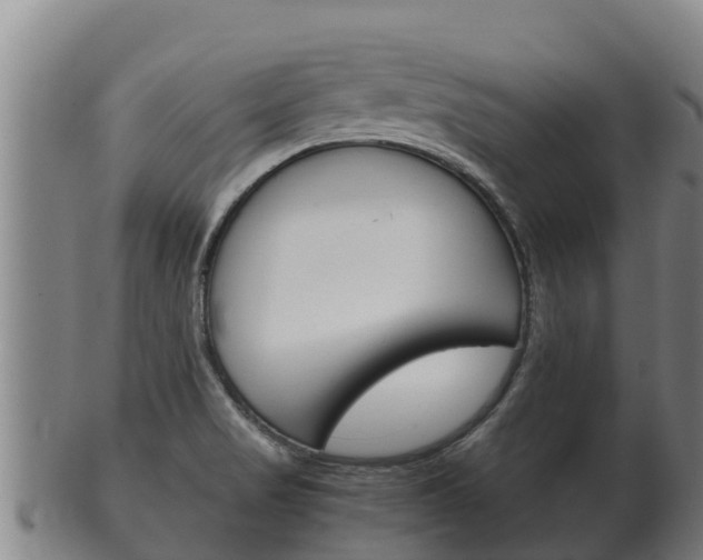 X0000100381517200806060814