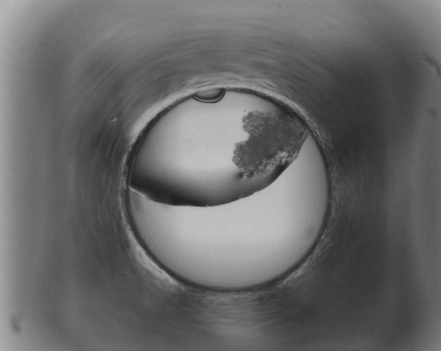 X0000100381518200806060814