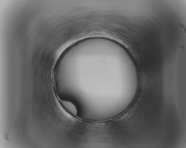 X0000100381519200806060814