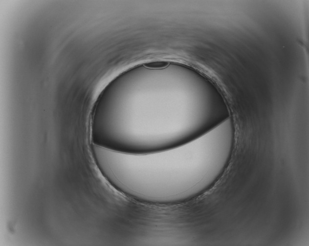 X0000100381520200806060814