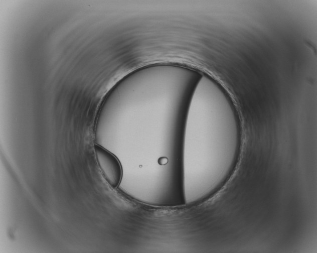 X0000100381521200806060814