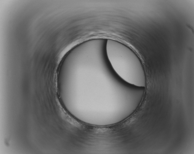 X0000100381522200806060814