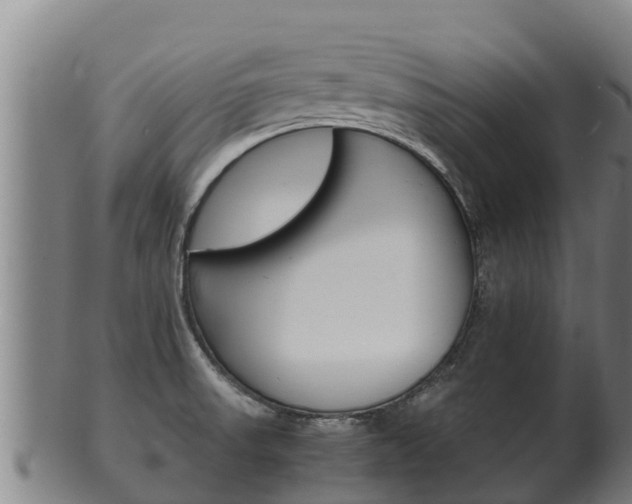 X0000100381523200806060814