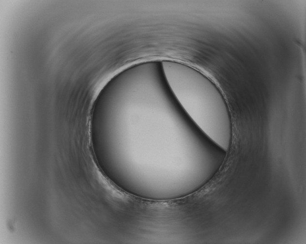 X0000100381524200806060814