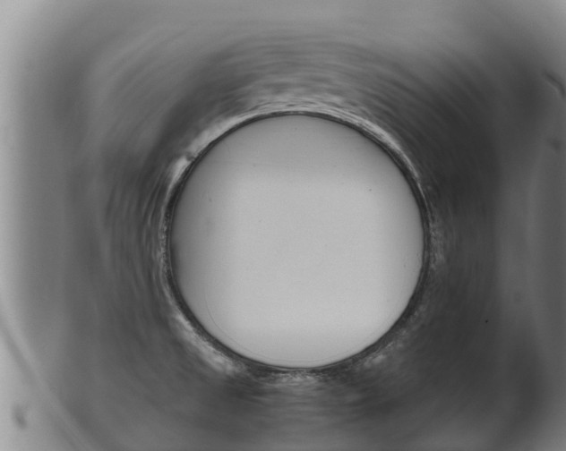 X0000100381525200806060814