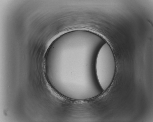 X0000100381526200806060814