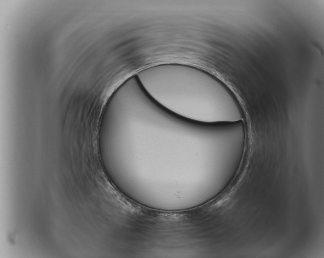 X0000100381529200806060814