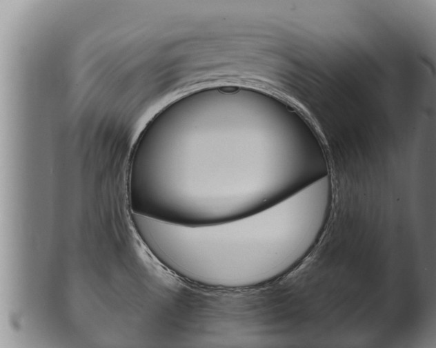 X0000100381530200806060814