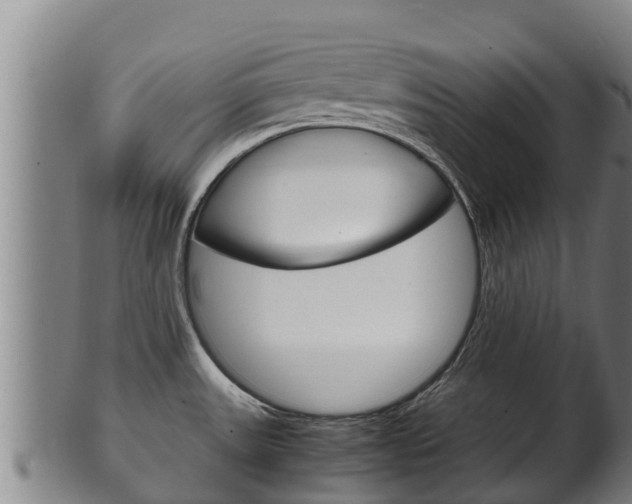 X0000100381531200806060814