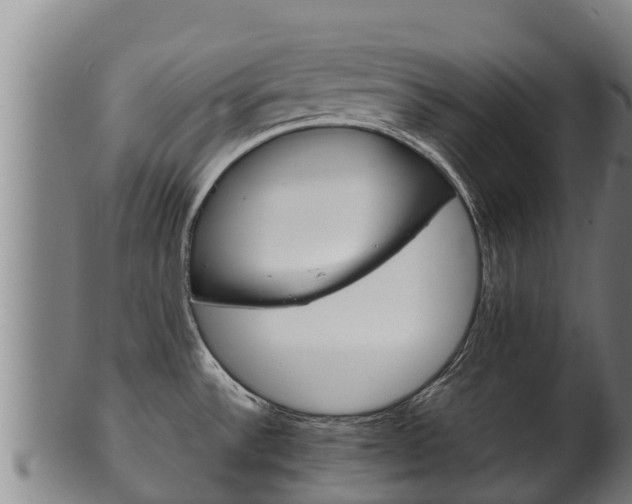 X0000100381532200806060814