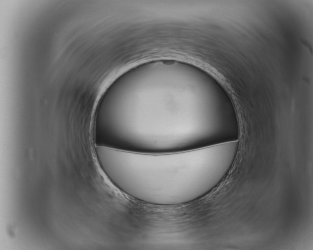 X0000100381536200806060814