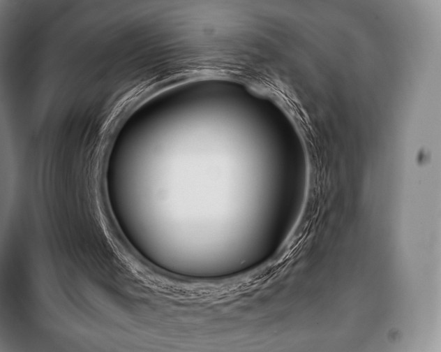 X0000100380001200806061229