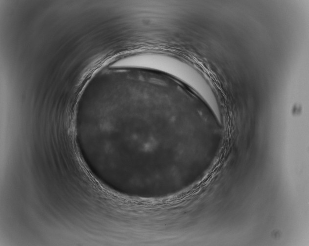X0000100380002200806061229