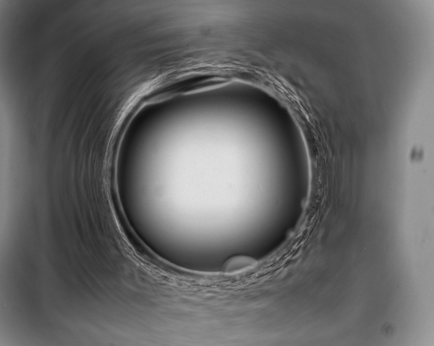 X0000100380003200806061229