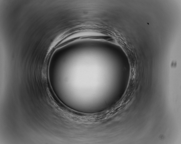X0000100380004200806061229