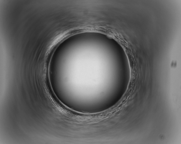 X0000100380005200806061229