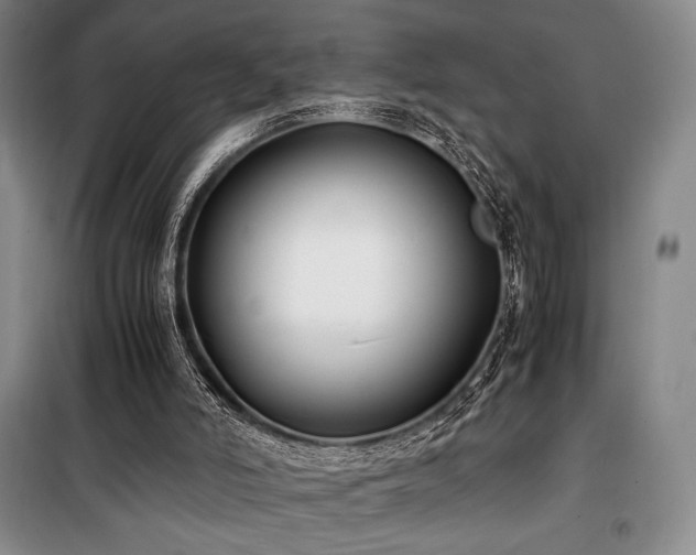 X0000100380006200806061229