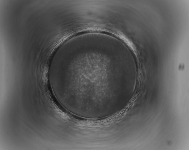X0000100380009200806061229