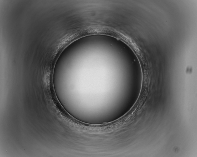 X0000100380010200806061229