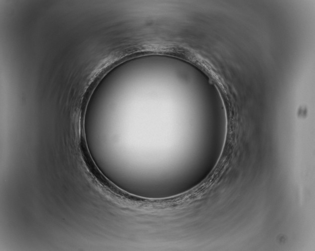 X0000100380011200806061229