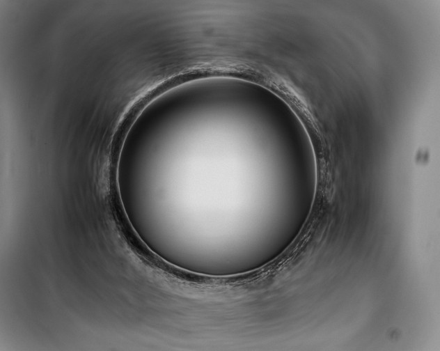 X0000100380012200806061229