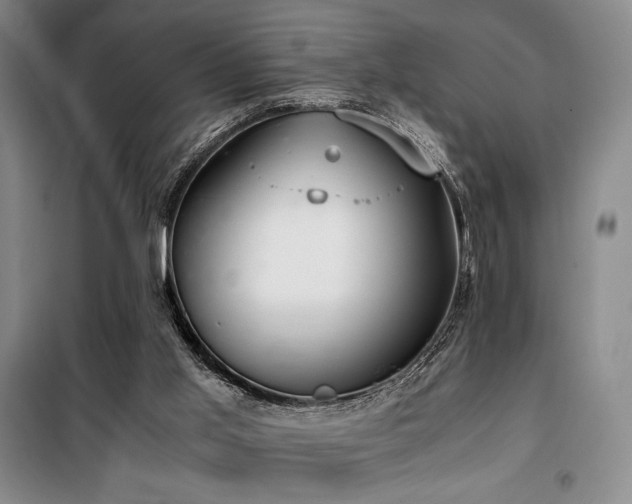 X0000100380013200806061229
