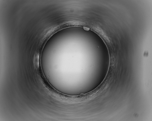 X0000100380014200806061229