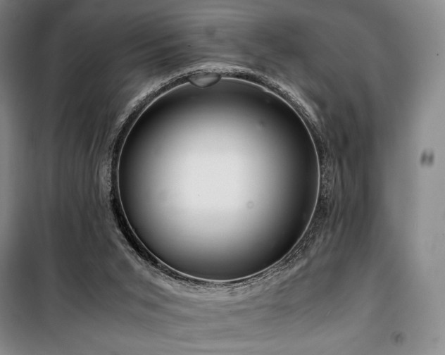X0000100380015200806061229