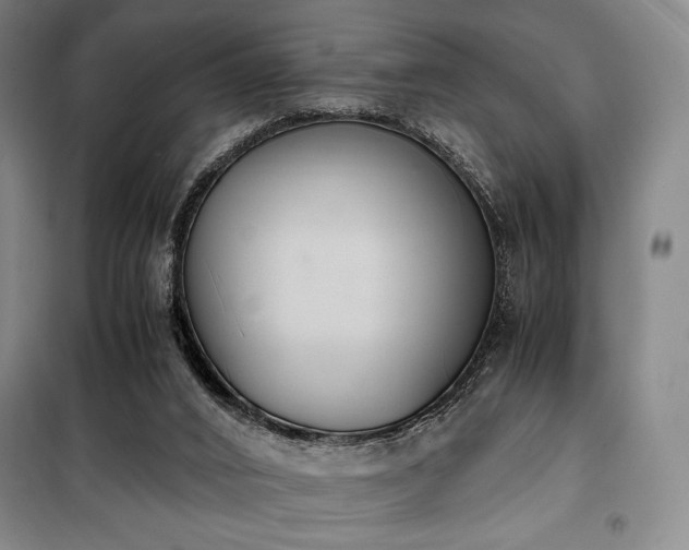 X0000100380016200806061229