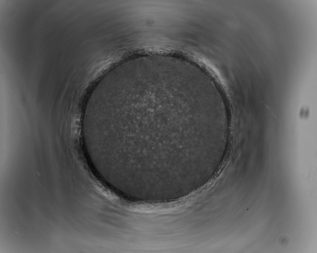 X0000100380017200806061229