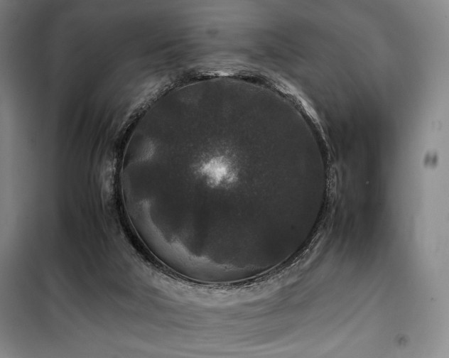 X0000100380018200806061229