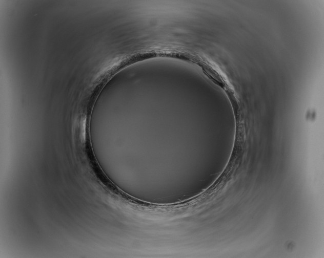 X0000100380019200806061229