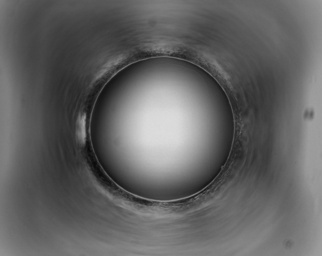 X0000100380020200806061229