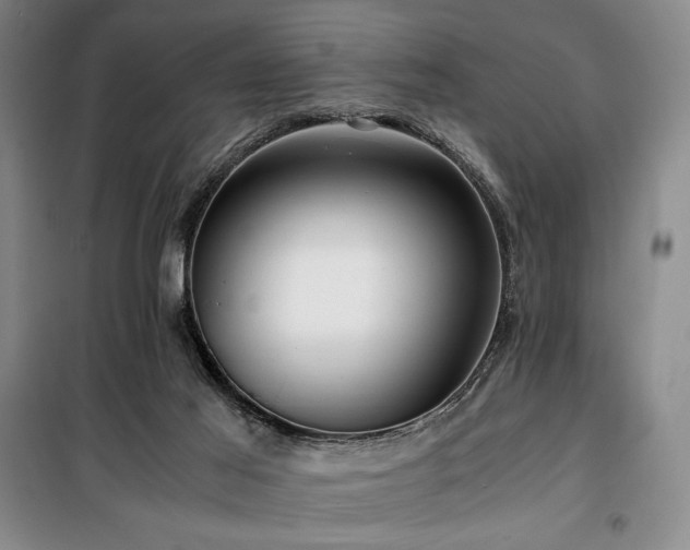 X0000100380021200806061229