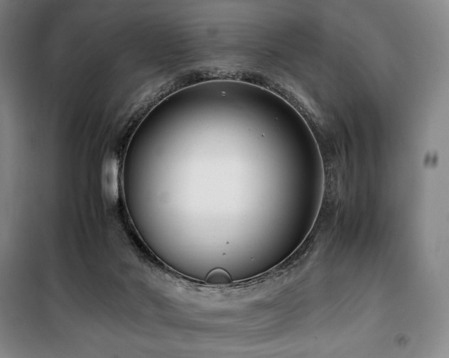 X0000100380022200806061229