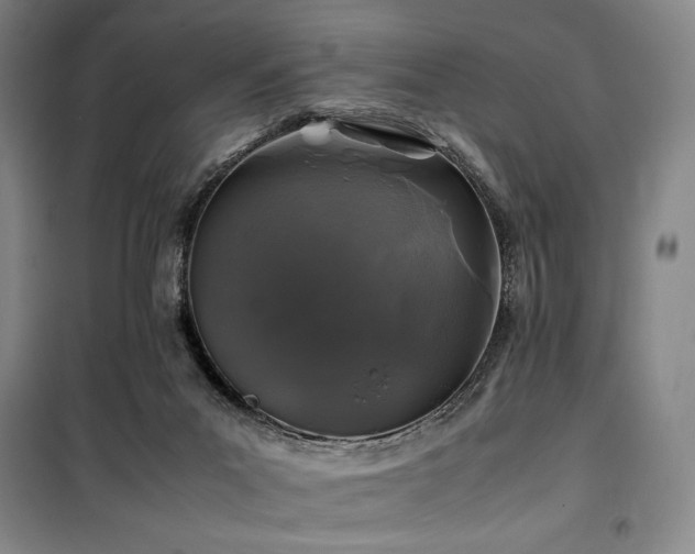 X0000100380023200806061229