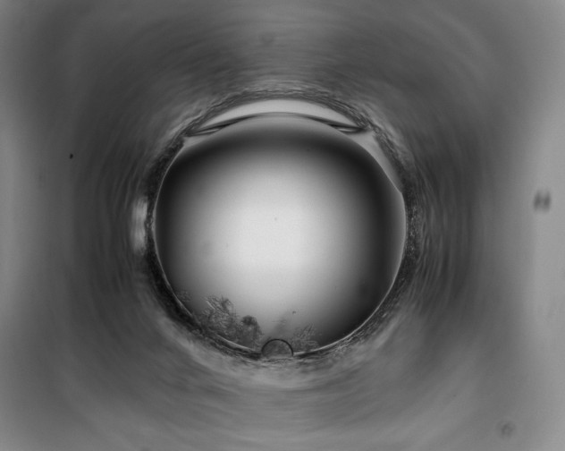 X0000100380024200806061229