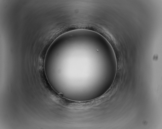 X0000100380025200806061229