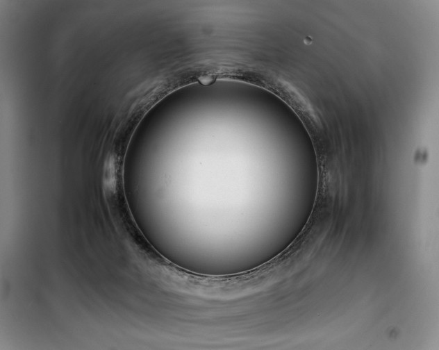 X0000100380026200806061229