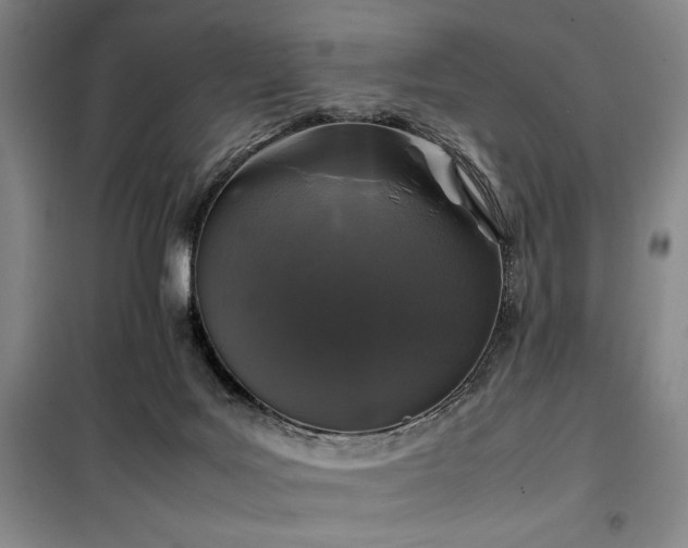 X0000100380027200806061229