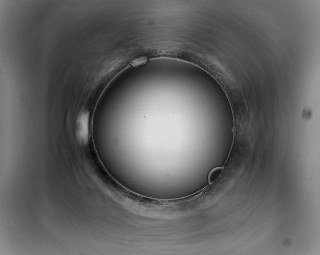 X0000100380028200806061229
