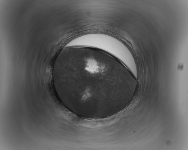 X0000100380029200806061229