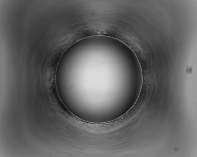 X0000100380030200806061229