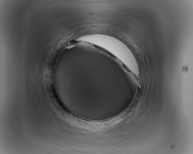 X0000100380031200806061229