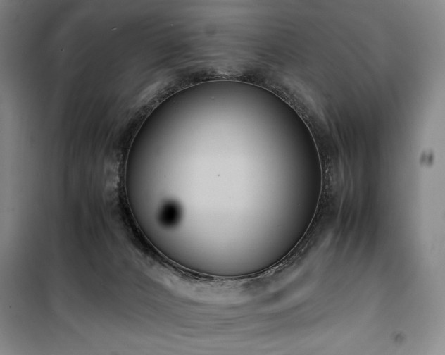 X0000100380032200806061229