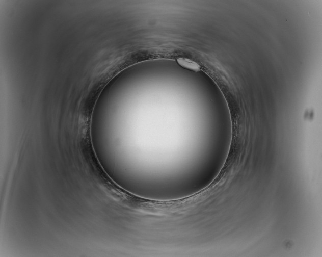 X0000100380033200806061229