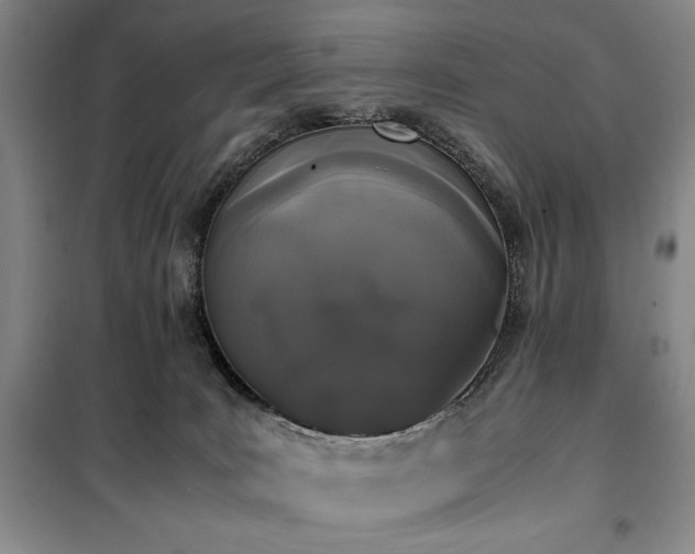 X0000100380035200806061229