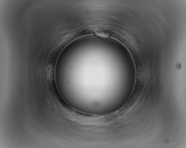 X0000100380036200806061229